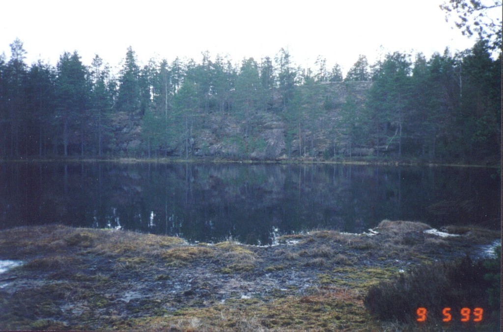 Iso_Haukilampi