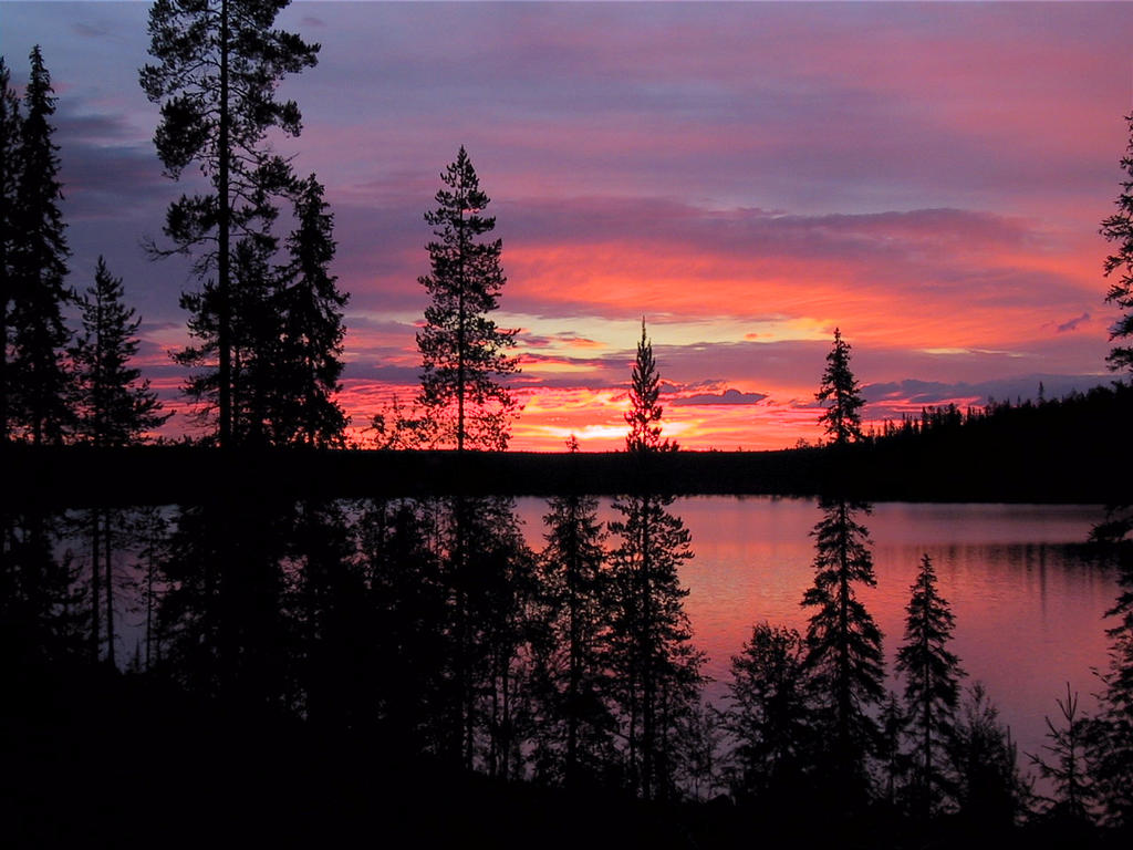 Punainen2