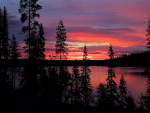 Punainen2