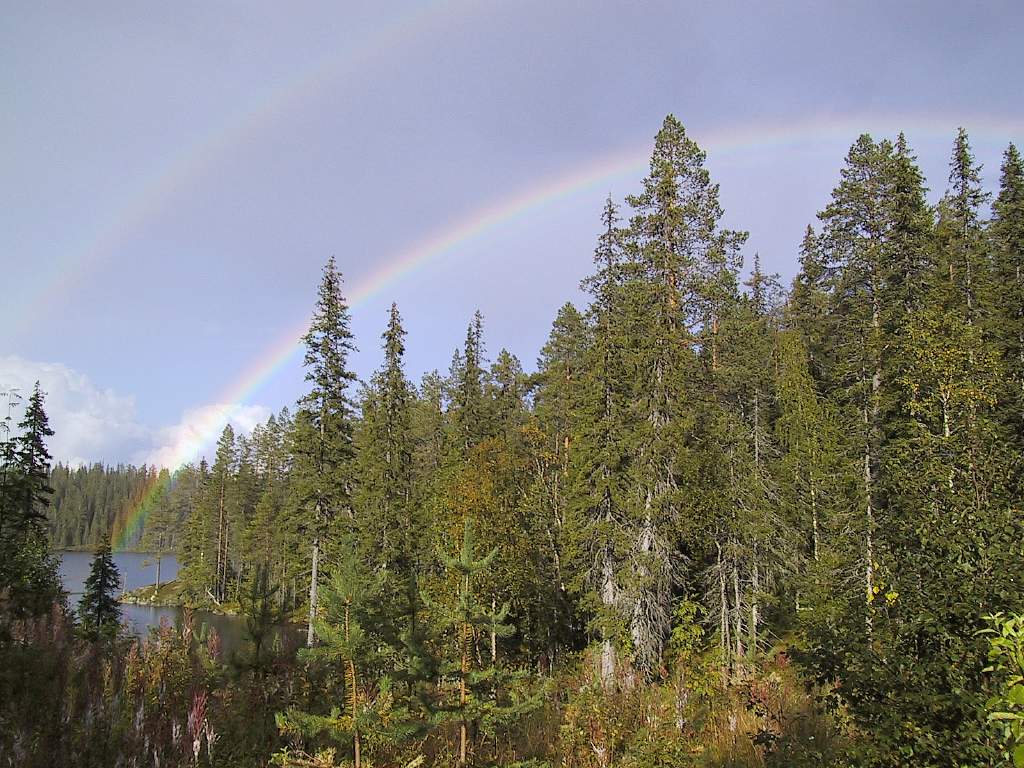 Sateenkaari