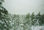Nuuksio3