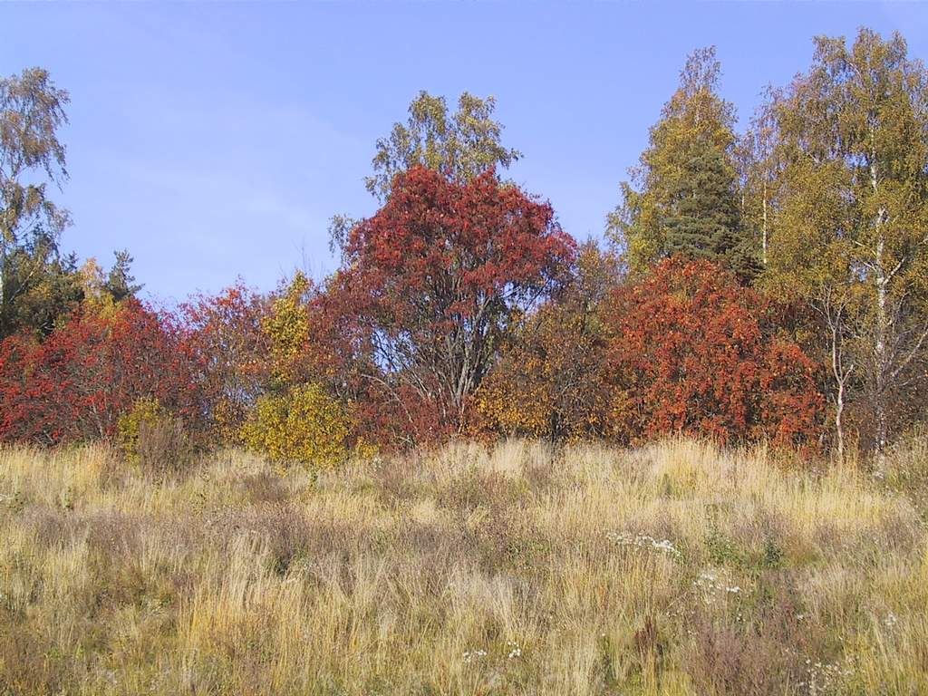 Ruska