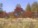Ruska
