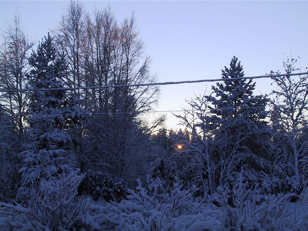 Jouluaurinko