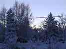 Jouluaurinko