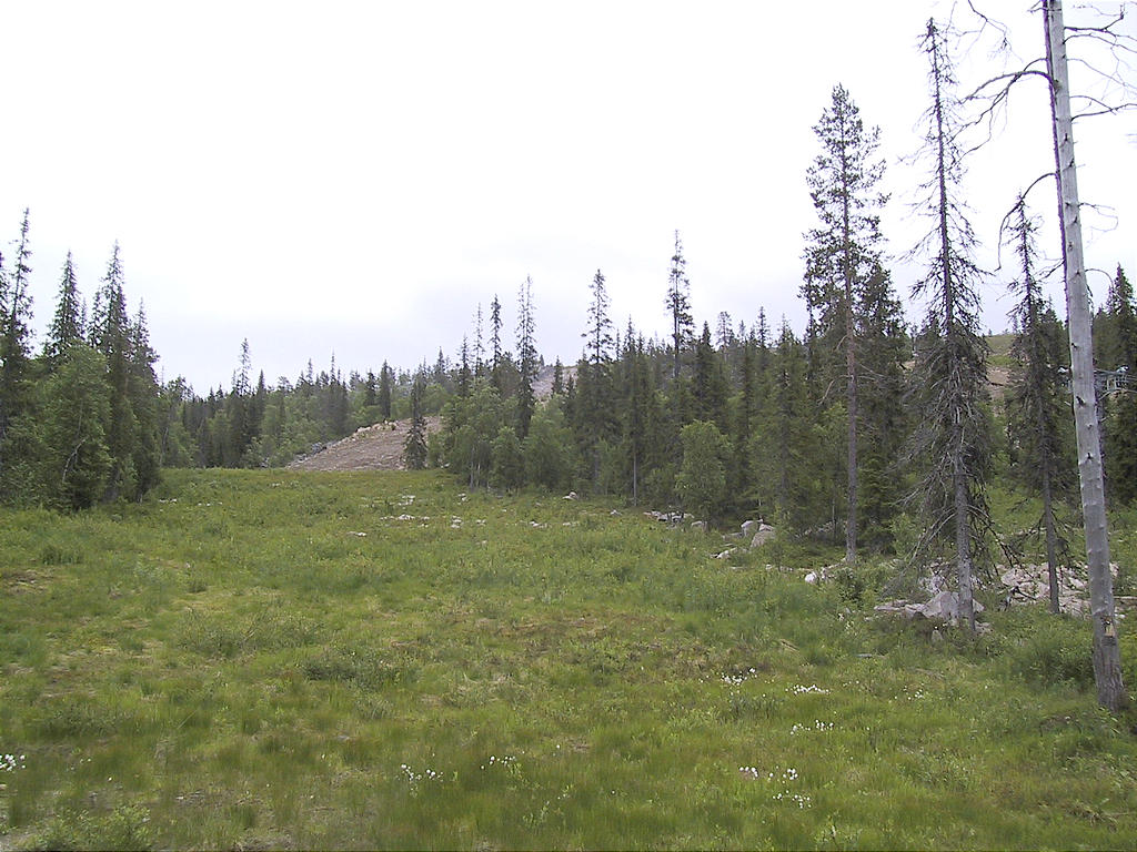 Salla6