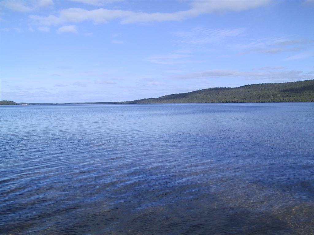 Livo3