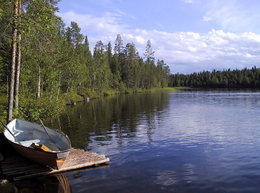 Jarvi