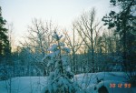 Karakallio_5