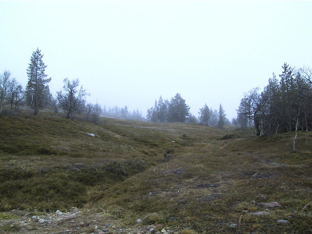 Ylls_lu