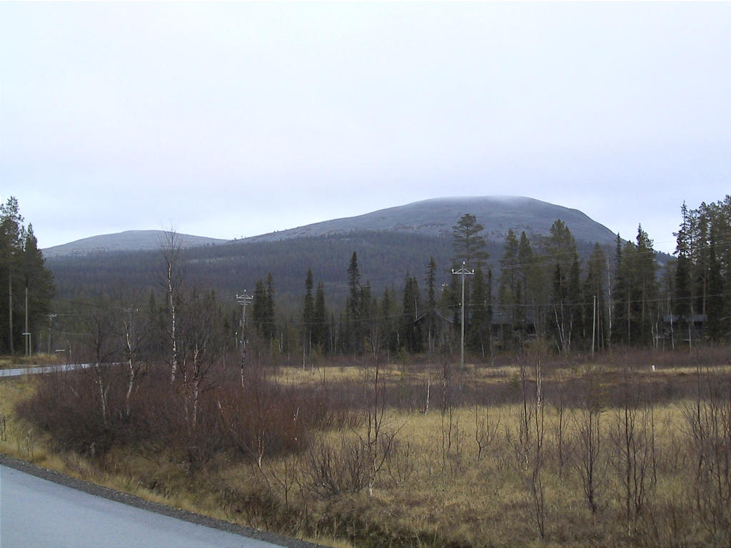 Kesnki