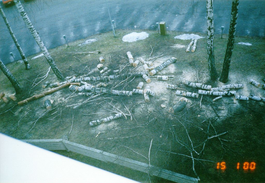Teurastus