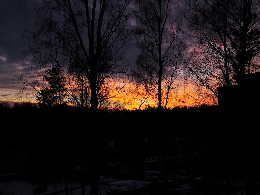 auringonlasku2