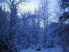 Luminenmetsä2