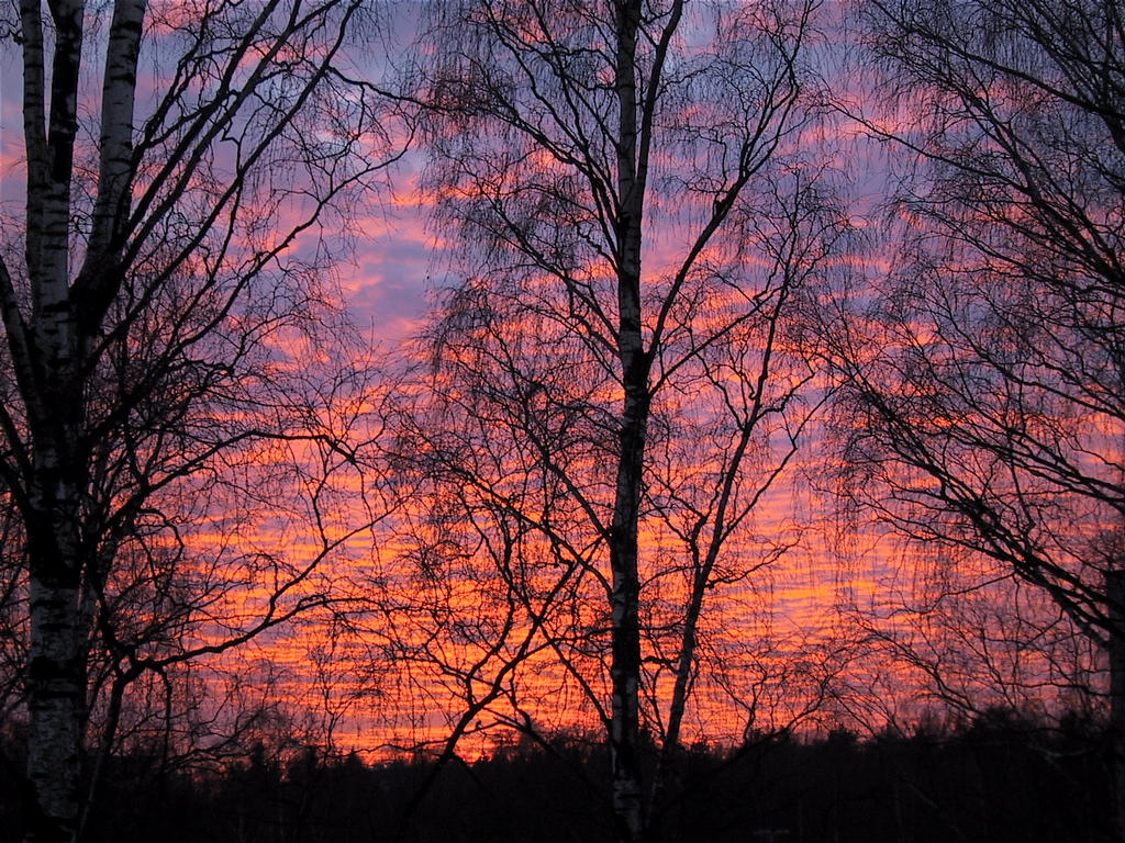 Auringonlasku