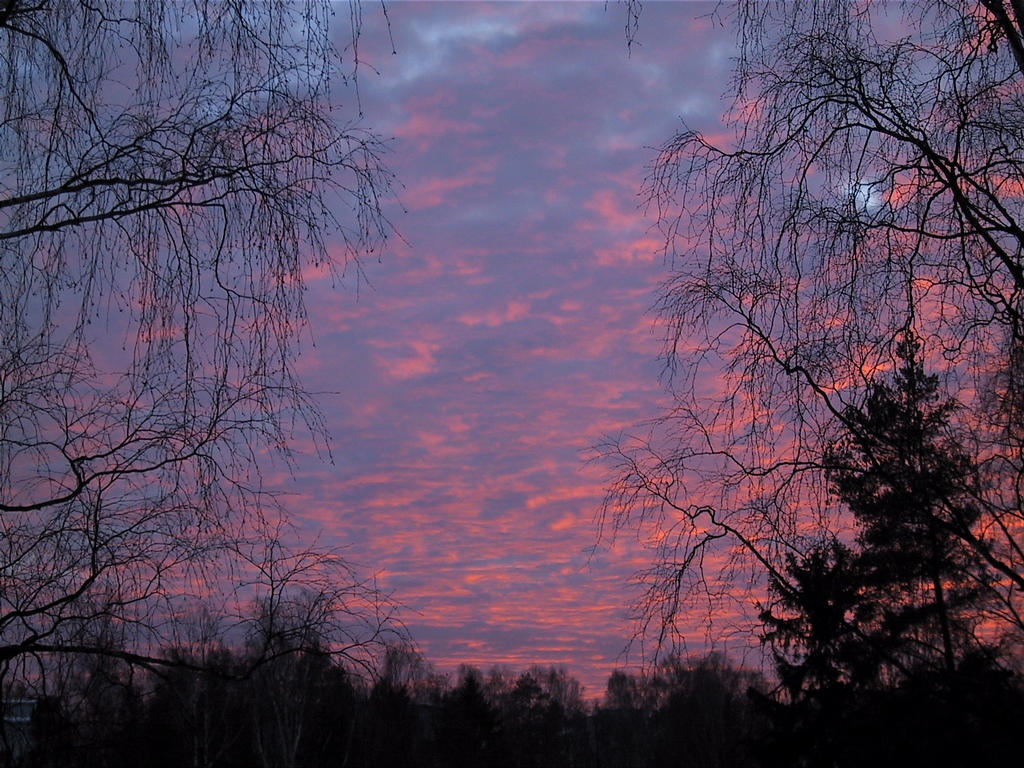 Auringonlasku1