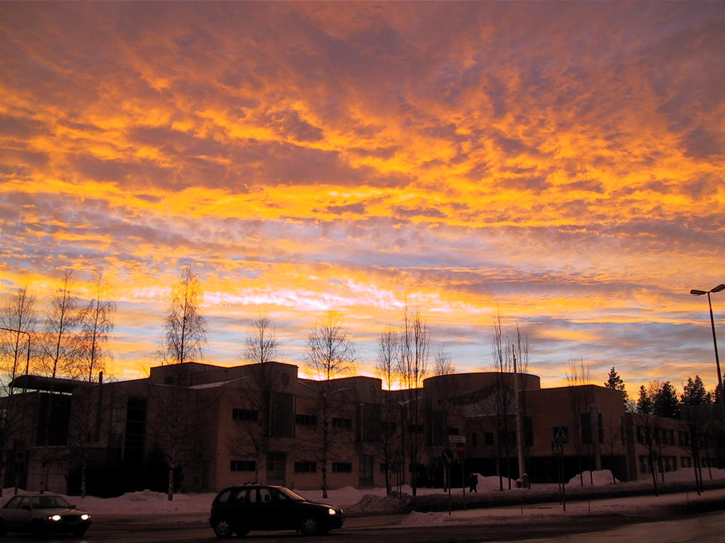 auringonlaskuk