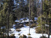 Kevätmetsä