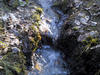 Puronen