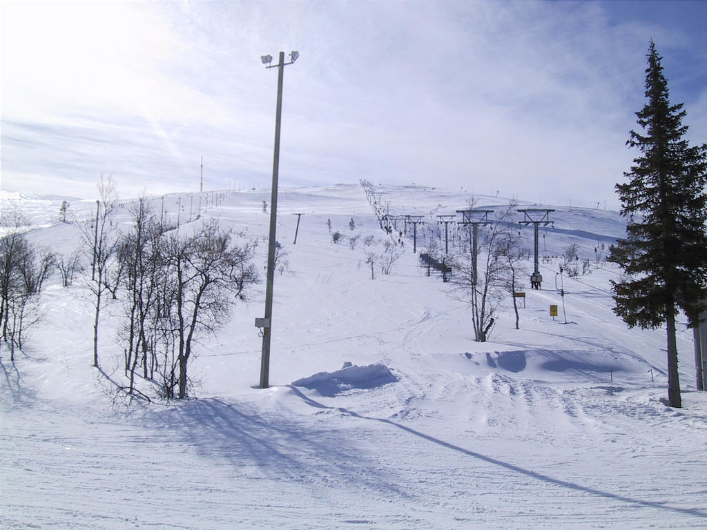 Jokeri
