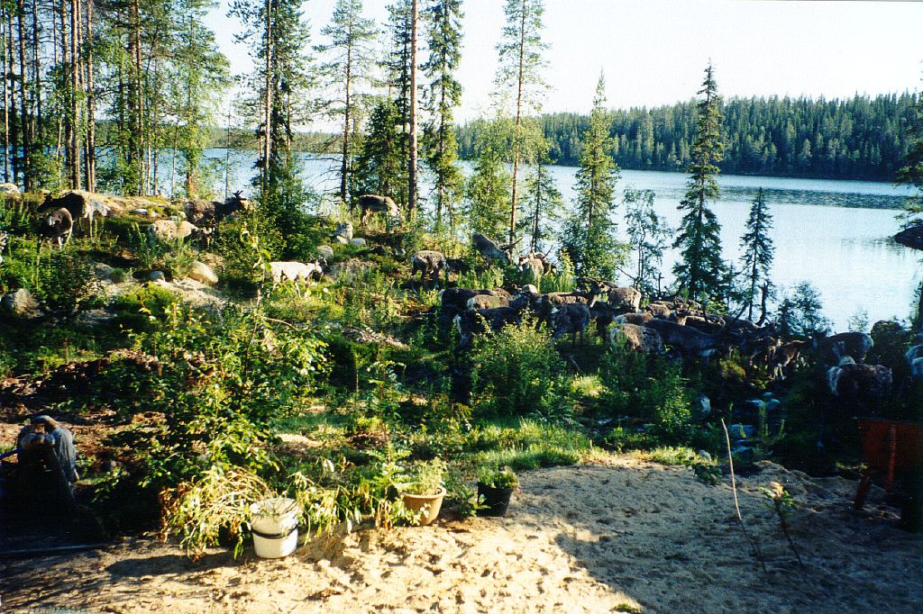 Poroja