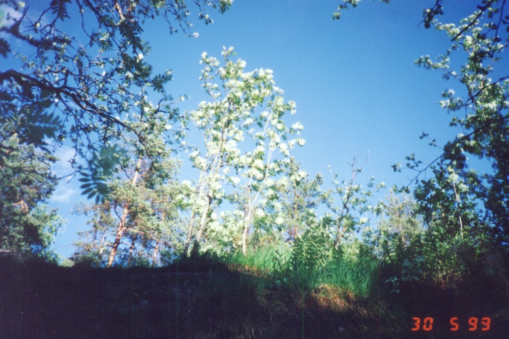 Karakallio2