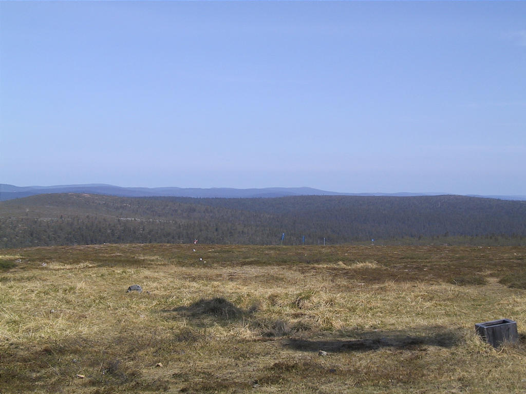 Kaunisp_w