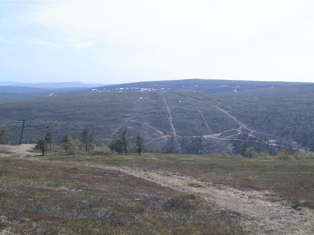 Kaunisp_s