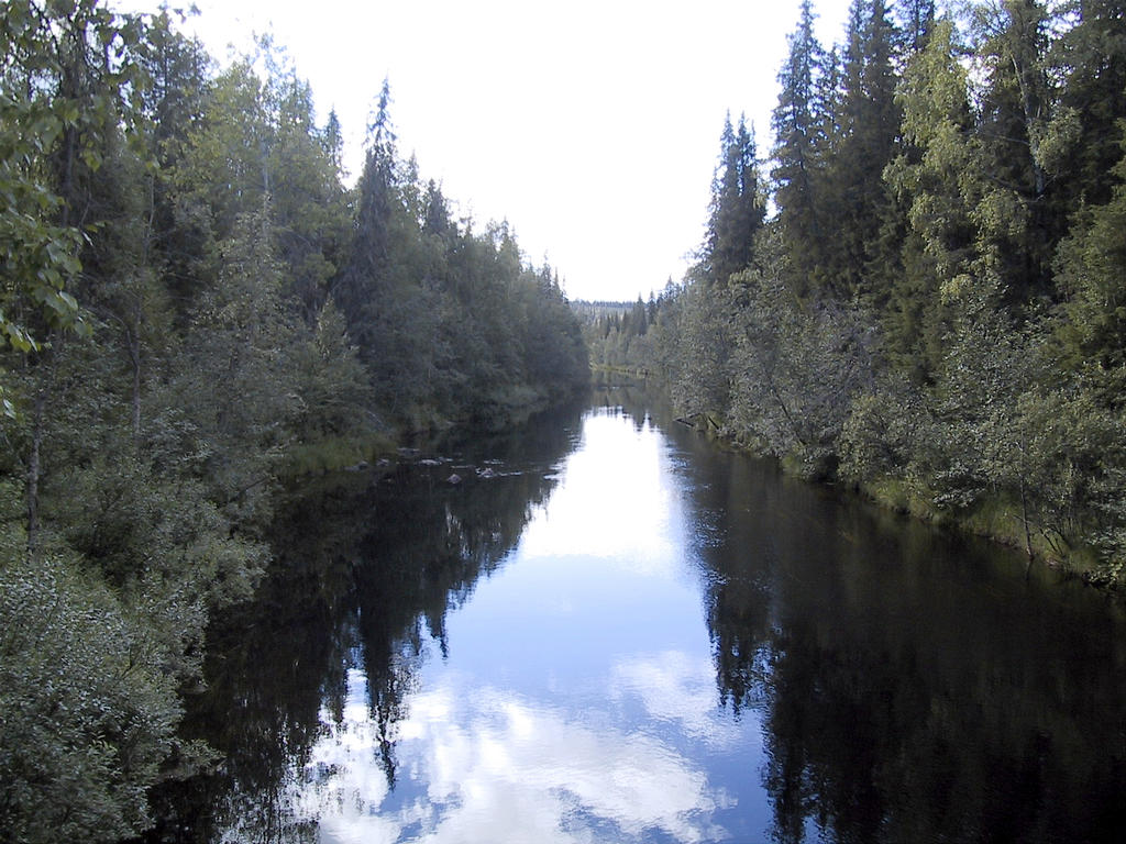 Auttijoki
