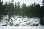 Mustalampi_l