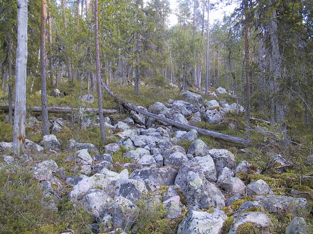 Merenramta