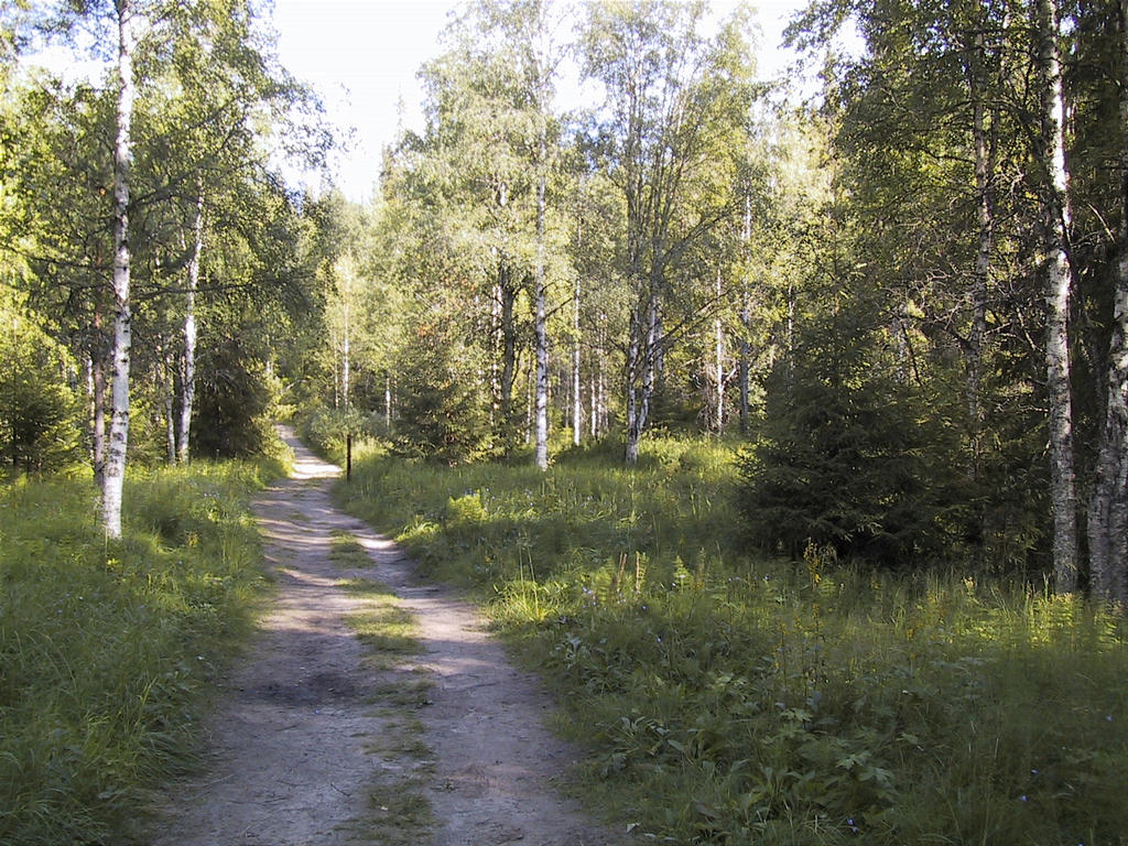 k_pohja