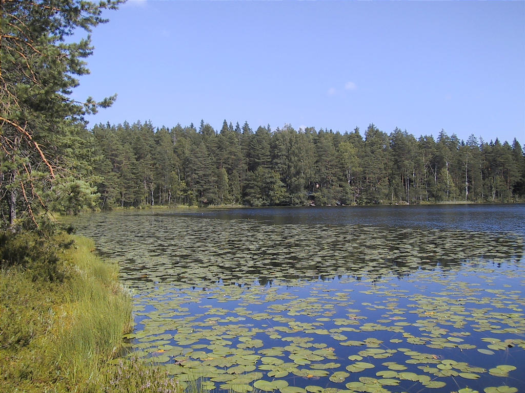 kolmikulmalampi