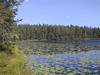 kolmikulmalampi