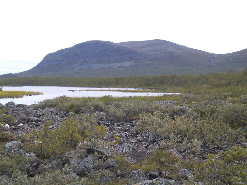 Kuohkimajrvi