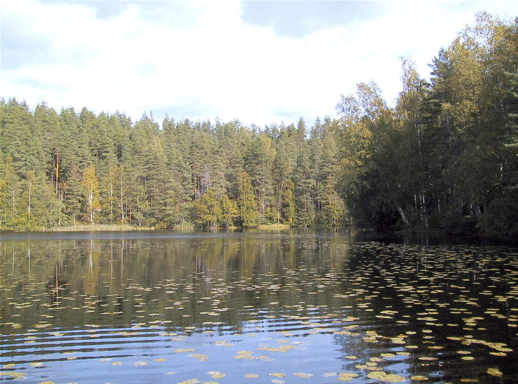 Haukkalampi