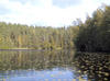 Haukkalampi