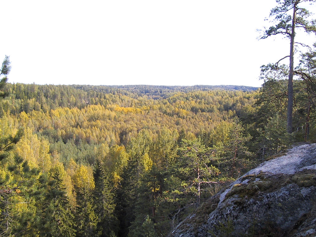 Haukankierros2