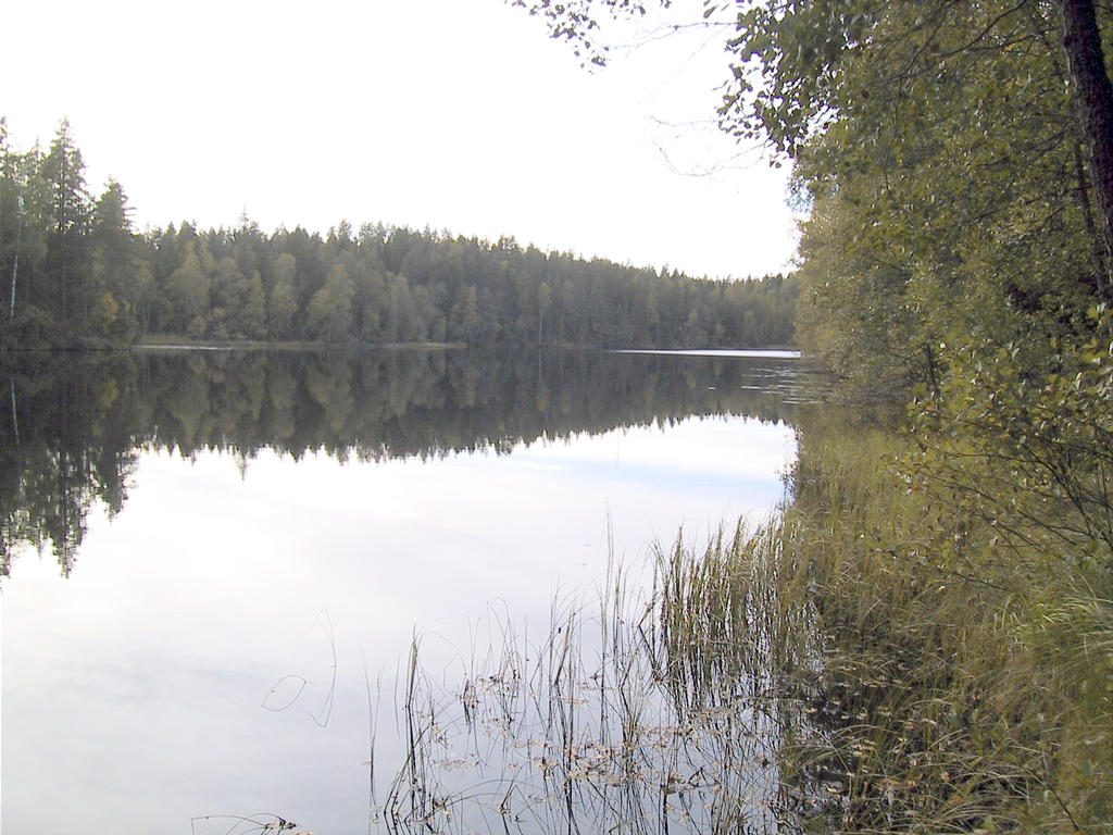 Kaitlampi
