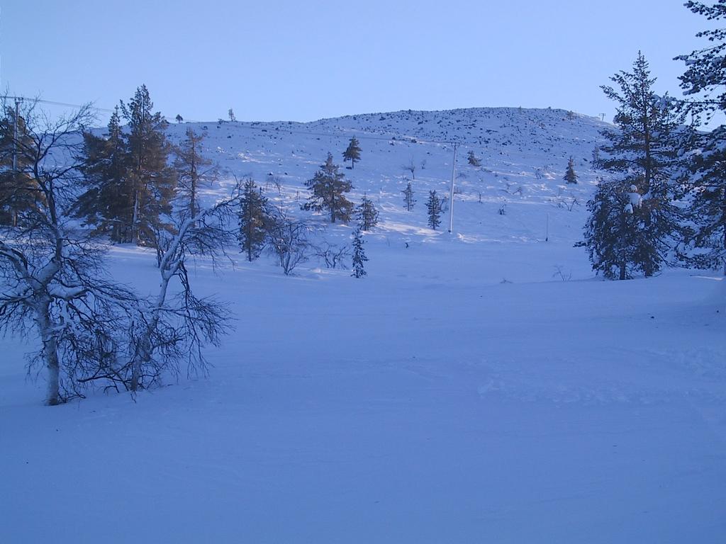 levi_luode