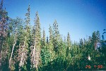 Kuusamo2