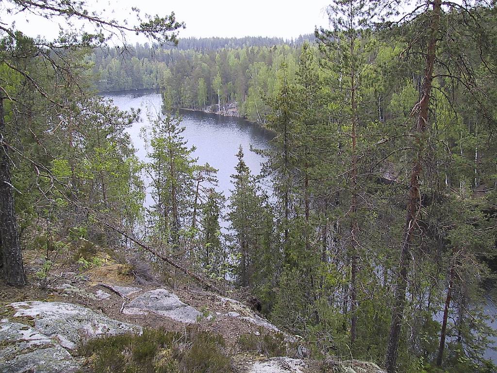 Haukanholma_y