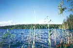 Kuusamo3