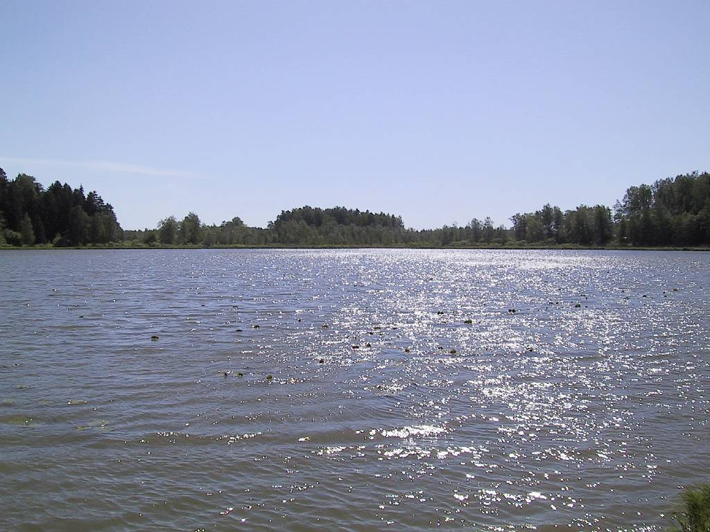 Pitkajarvi1